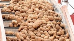 MayConveyorFood